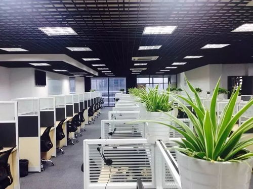 上海新積域 2018金音獎最佳客服案例的卓越典范